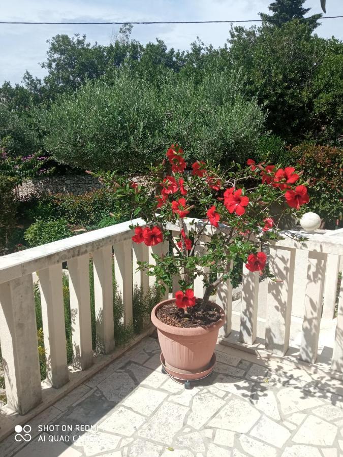 Apartman Hibiskus Bol Exterior foto
