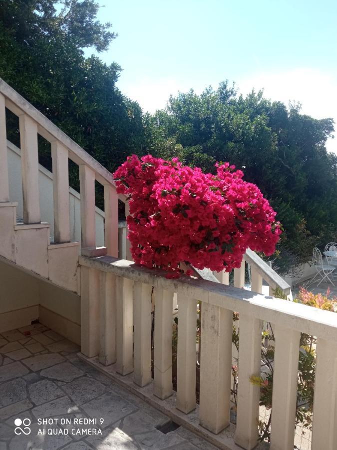 Apartman Hibiskus Bol Exterior foto