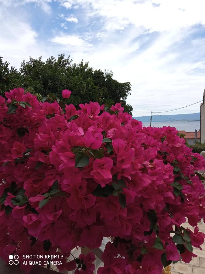 Apartman Hibiskus Bol Exterior foto