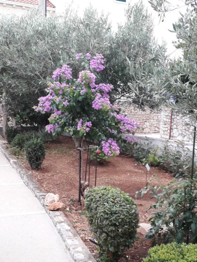 Apartman Hibiskus Bol Exterior foto